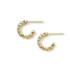 Ippolita Stardust