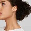 Ippolita Stardust