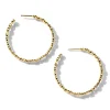 Ippolita Stardust