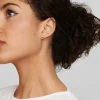 Ippolita Stardust