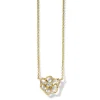 Ippolita Stardust
