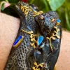 IMG_5484 Carolyn Tyler "Seaweed Serpent" Cuff Bracelet