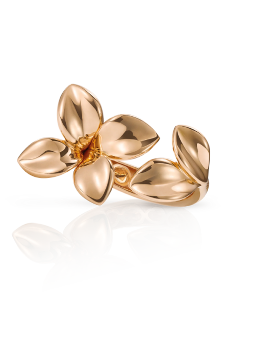 Pasquale Bruni GIARDINI SEGRETI RING