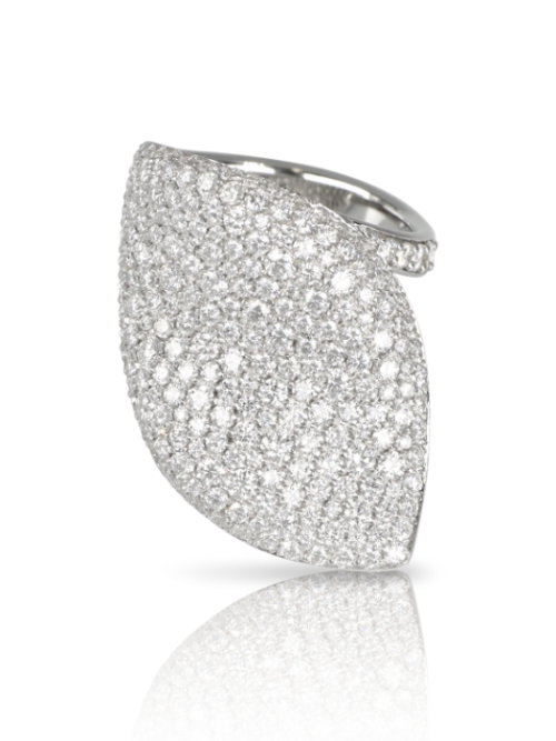 Screenshot 2025-10-18 125319 Pasquale Bruni ALELUIÁ RING