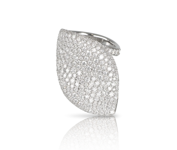 Pasquale Bruni ALELUIÁ RING