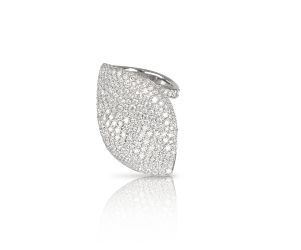 Pasquale Bruni ALELUIÁ RING