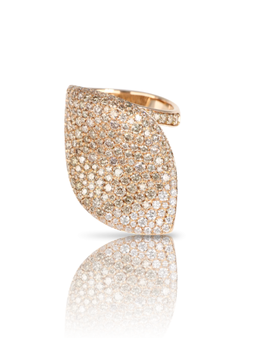 Screenshot 2025-10-18 131633 Pasquale Bruni ALELUIÁ RING