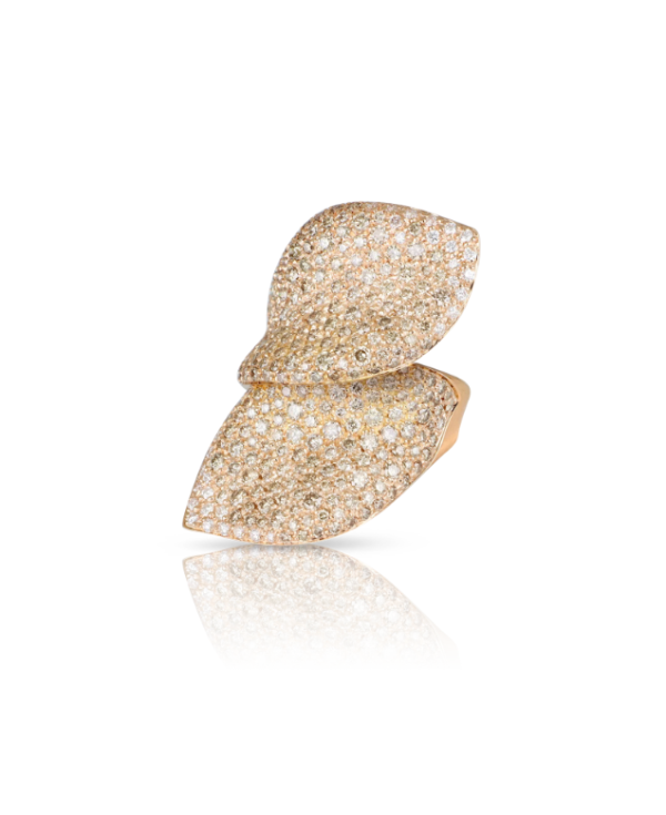 Pasquale Bruni ALELUIÁ RING