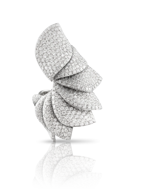 Pasquale Bruni ALELUIÁ RING