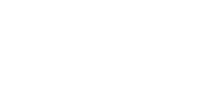 carolyn-tyler-logo-white Carolyn Tyler "Arizona Fishnet" Bib Necklace