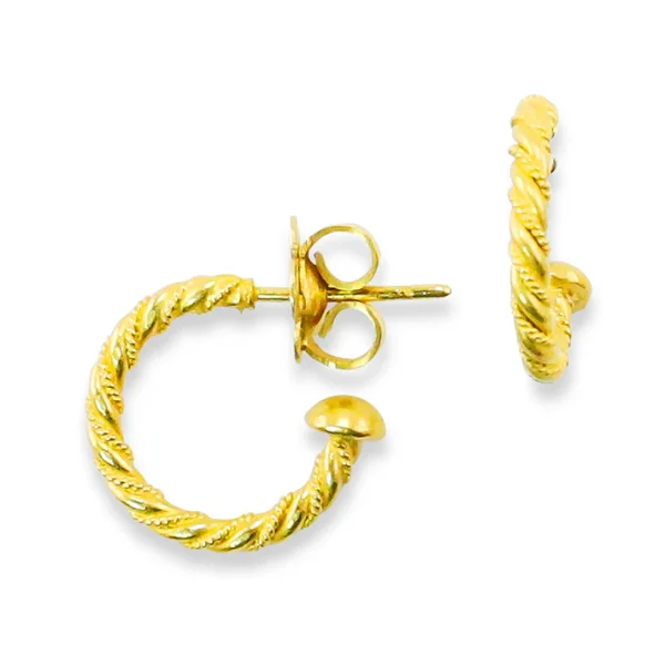 E-11433_1_850 Carolyn Tyler "Glitters Hoop" Earrings